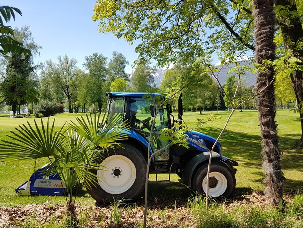 Elevate Outdoor Spaces with Modern Landscape Care and Smart Maintenance